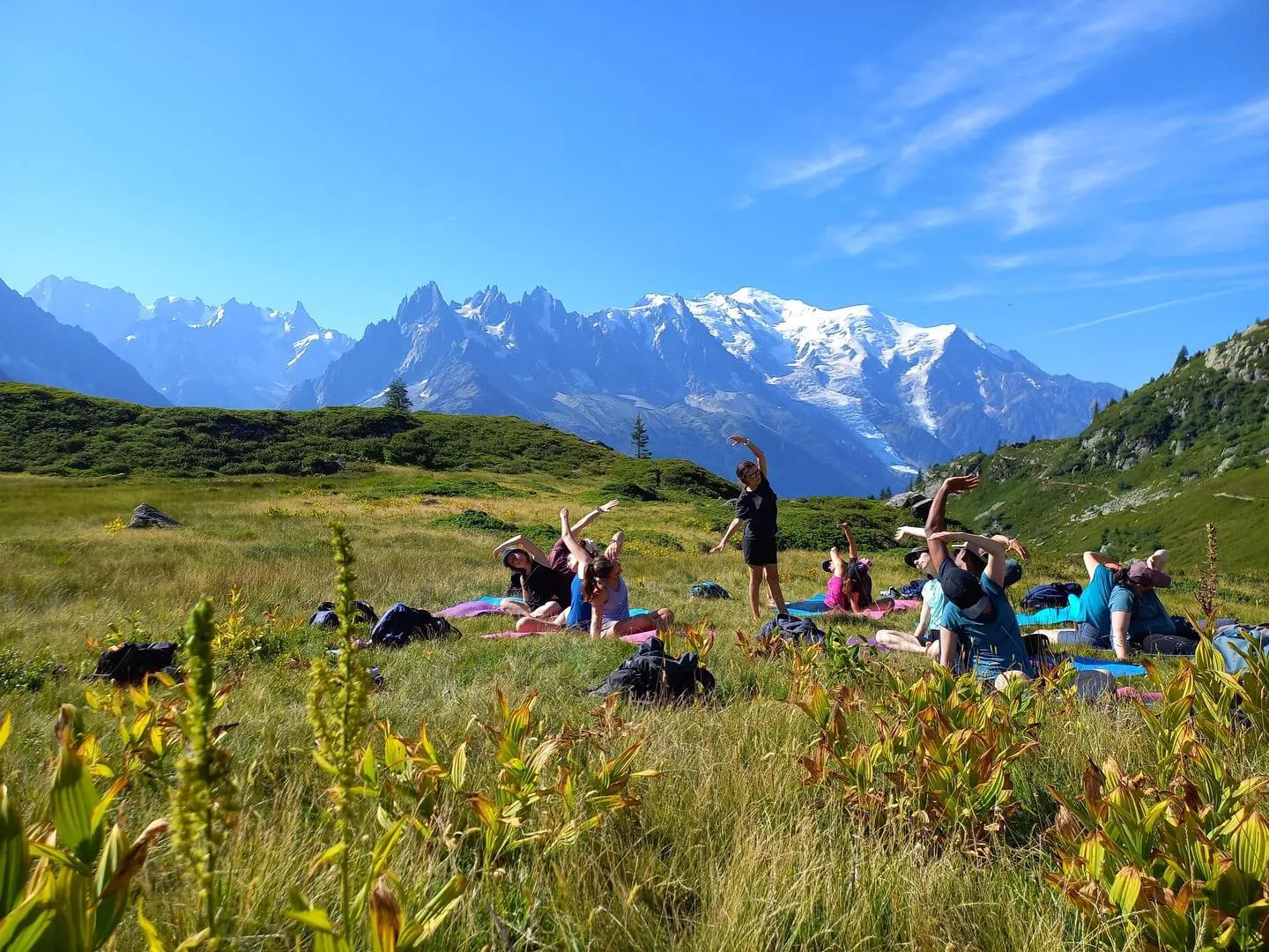 A yoga group practising in an alpine meadow